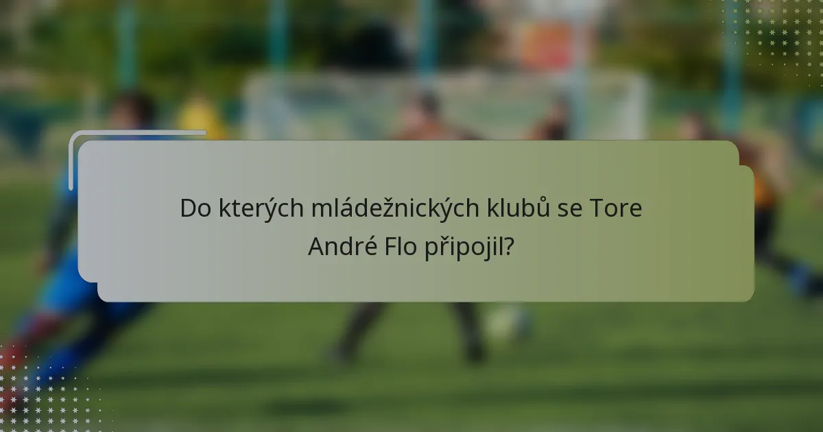 Do kterých mládežnických klubů se Tore André Flo připojil?