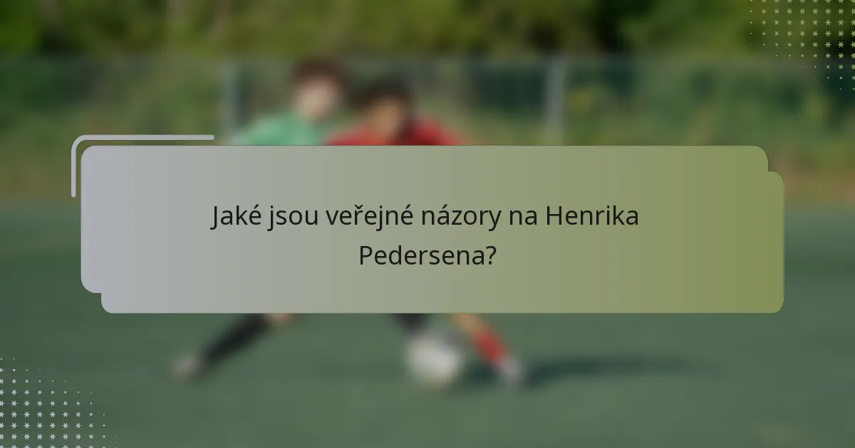 Jaké jsou veřejné názory na Henrika Pedersena?